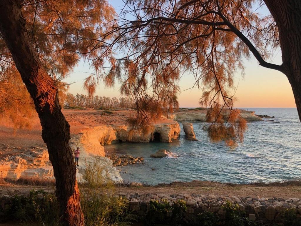Cozy Apartment In Paphos Beautiful Complex Buitenkant foto